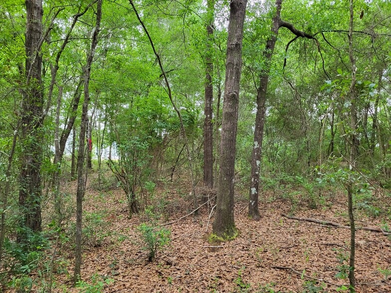 More Photos Of 301 E Redstone Ave, Crestview Land For Sale