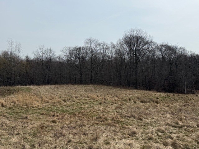 More Photos Of Approx. 4593 S Madison Rd, Madison Land For Sale