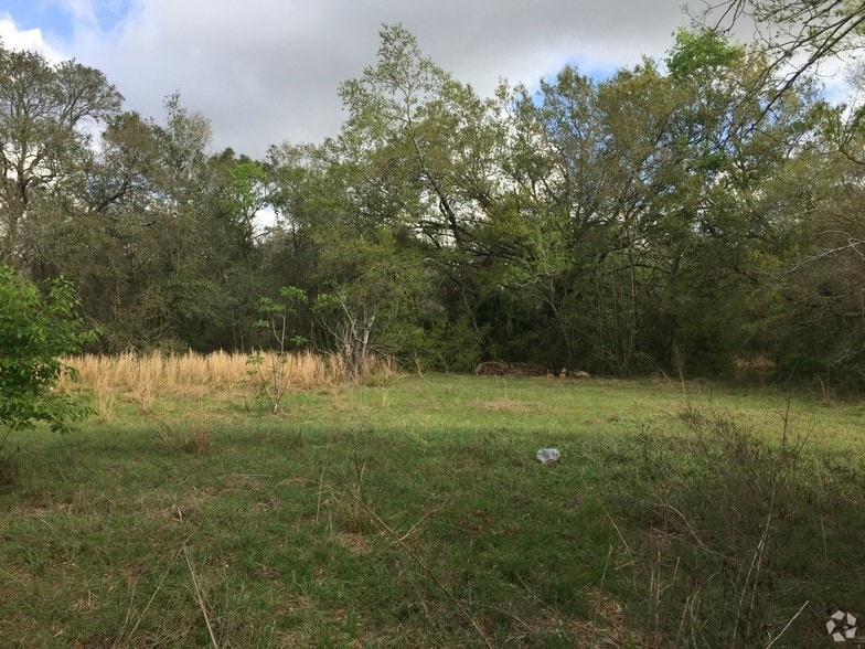 Primary Photo Of 7125 Holly St, Mount Dora Land For Sale