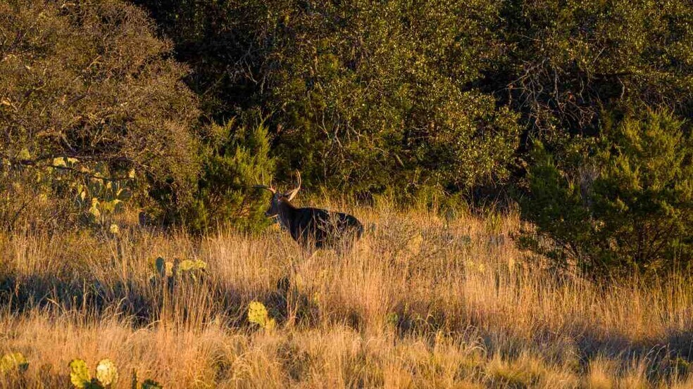 More Photos Of 917 Bear Springs rd, Mason Land For Sale