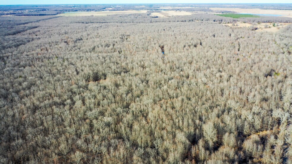 More Photos Of 1200 County 1255 rd, Detroit Land For Sale