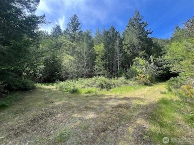 More Photos Of N US Hwy 101, Lilliwaup Land For Sale