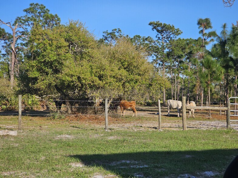 More Photos Of 34745 Trails End Dr, Punta Gorda Winery Vineyard For Sale