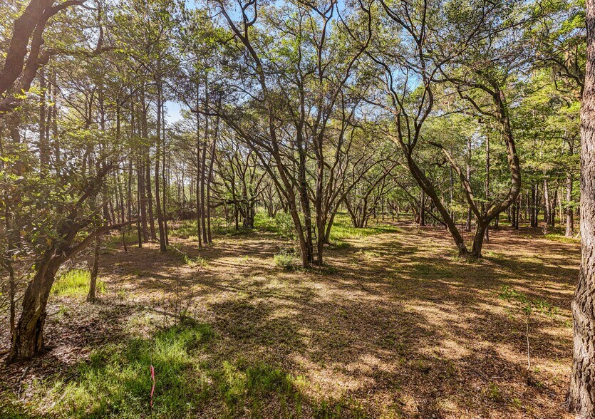 More Photos Of 0 King Rail Lane, Edisto Island Land For Sale
