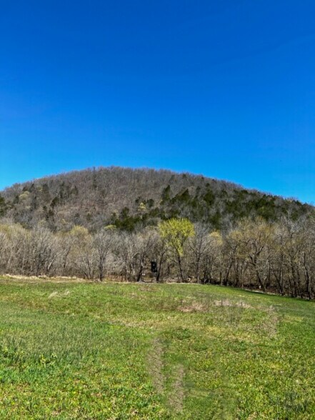 More Photos Of 4103 River Road, Guion Land For Sale