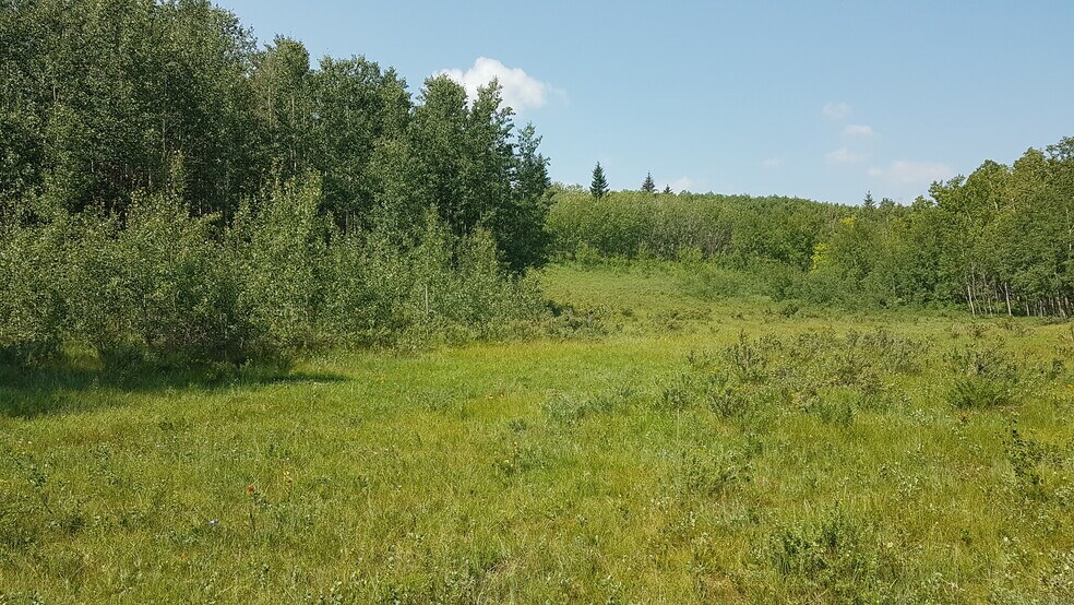 More Photos Of 1 Bow River, Rocky View No 44 Land For Sale