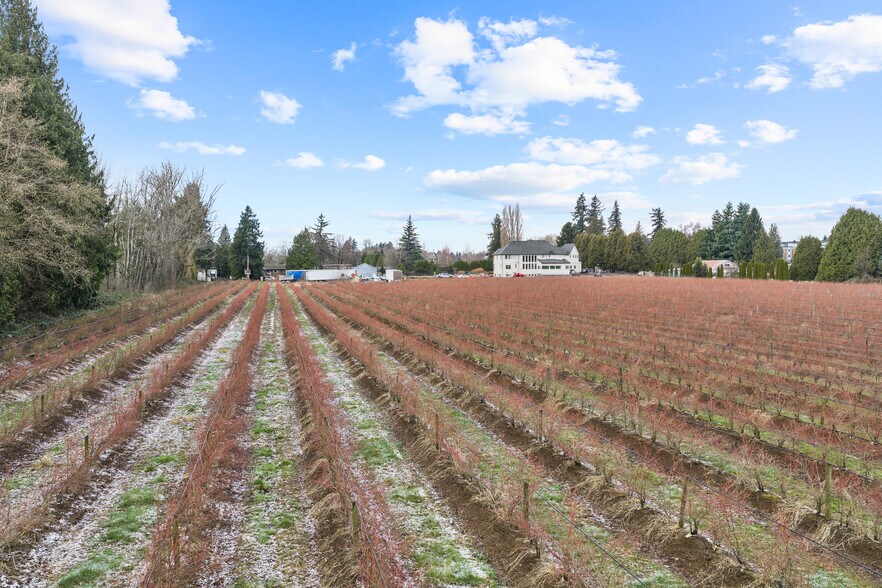 More Photos Of 1264 Mccallum Rd, Abbotsford Land For Sale