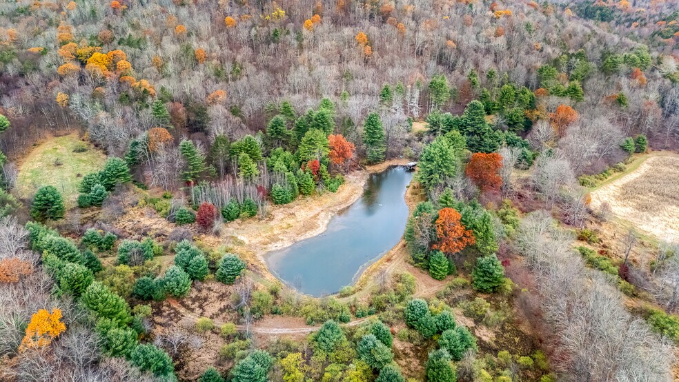 More Photos Of 228 Huntington Creek Rd, Sweet Valley Land For Sale