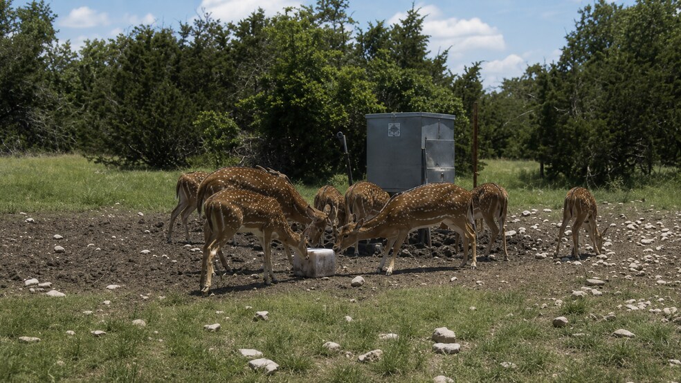 More Photos Of 65 Miles Ln, Harper Land For Sale