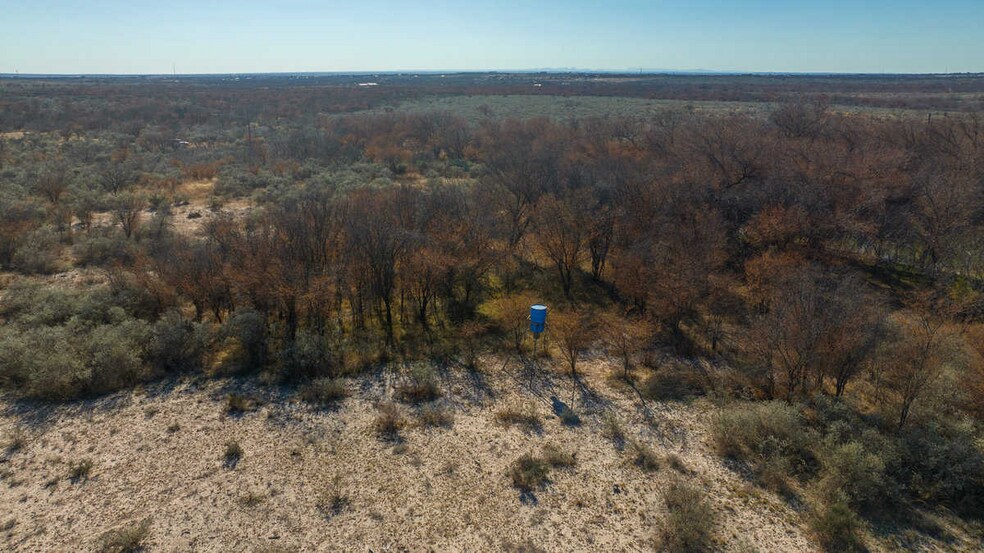 More Photos Of Winters Ranch, Del Rio Land For Sale