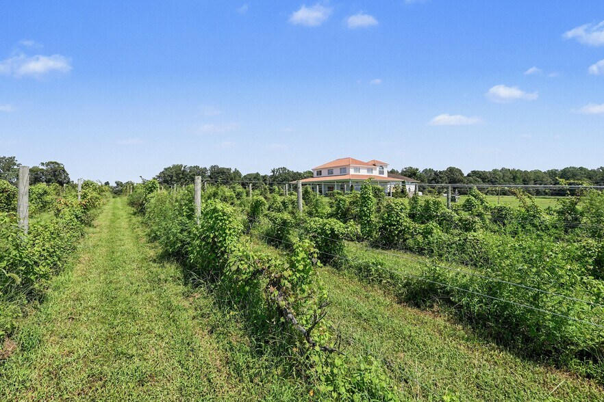 More Photos Of 495 Meadow Landing Ln, Caret Winery Vineyard For Sale