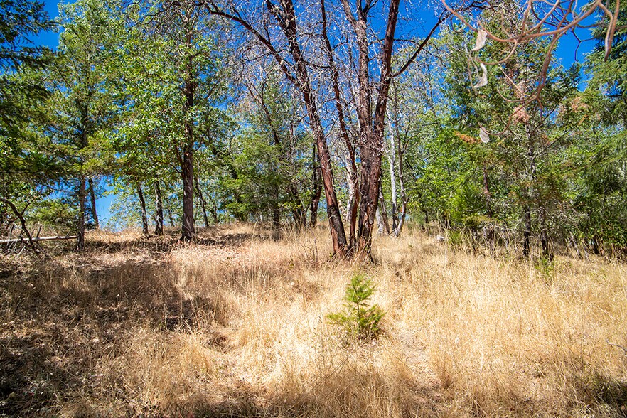 More Photos Of 0 Rosemary Lane Ln, Grants Pass Land For Sale