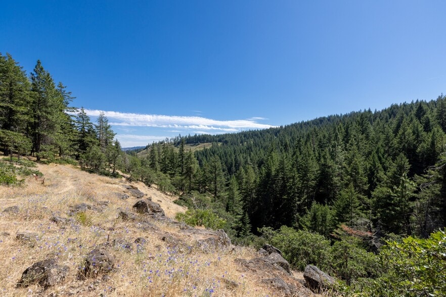 More Photos Of 82 Meadows Loop, Lyle Specialty For Sale