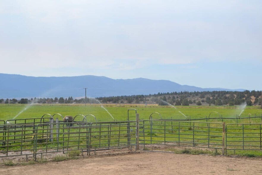 More Photos Of 480-100 Belfast Rd, Litchfield Land For Sale