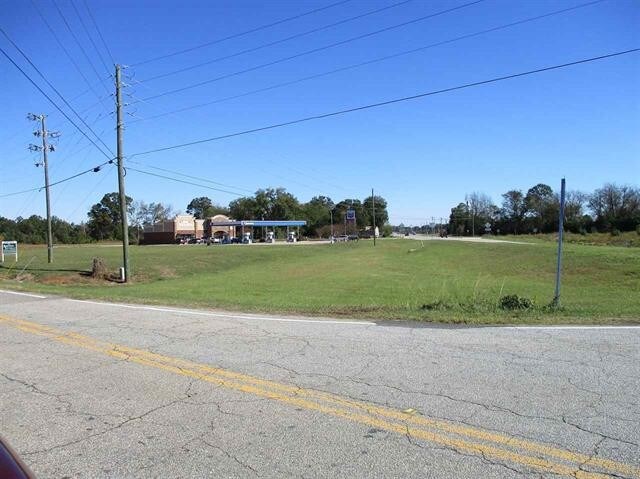 More Photos Of Hwy 247, Byron Land For Sale