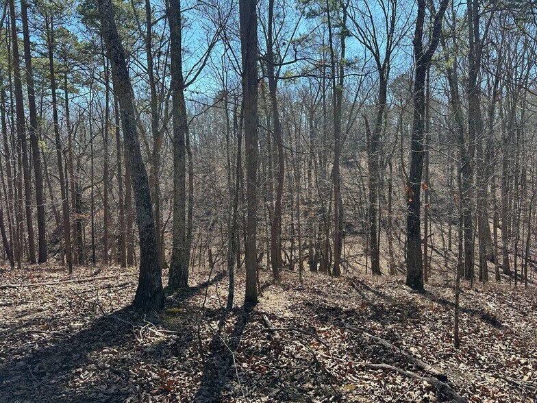 More Photos Of 3472 Prior Station Rd, Cedartown Land For Sale