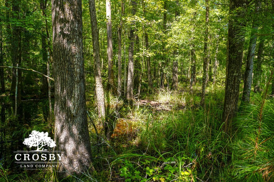 More Photos Of 3009 Lowcountry Drive, Ridgeland Land For Sale