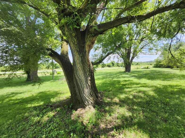 More Photos Of 1303 US-63, Cabool Apartments For Sale