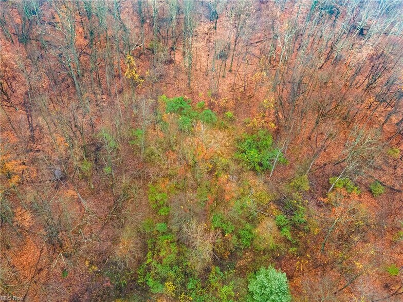 More Photos Of 1567 Cassingham Hollow Dr, Coshocton Flex For Sale