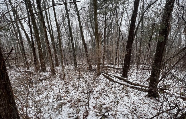 More Photos Of Stage Door Rd, Wappingers Falls Land For Sale