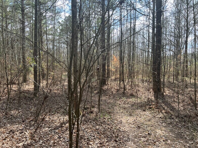 More Photos Of 1593 Old Alabama rd, Taylorsville Land For Sale