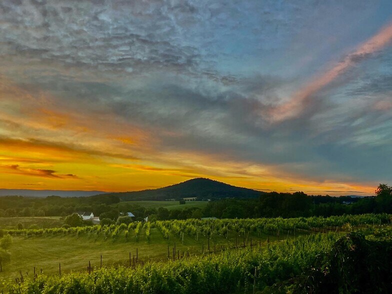 More Photos Of 2110 Quicksburg Rd, Quicksburg Land For Sale