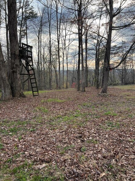 More Photos Of 1323 Bee Rock Rd, Monterey Land For Sale