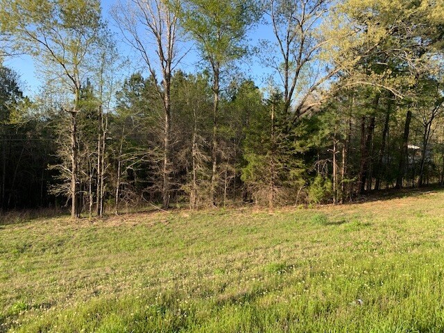 More Photos Of 15509 E State Highway 31, Tyler Land For Sale