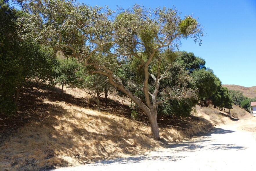 More Photos Of 32800 Johnson Canyon Rd, Gonzales Land For Sale