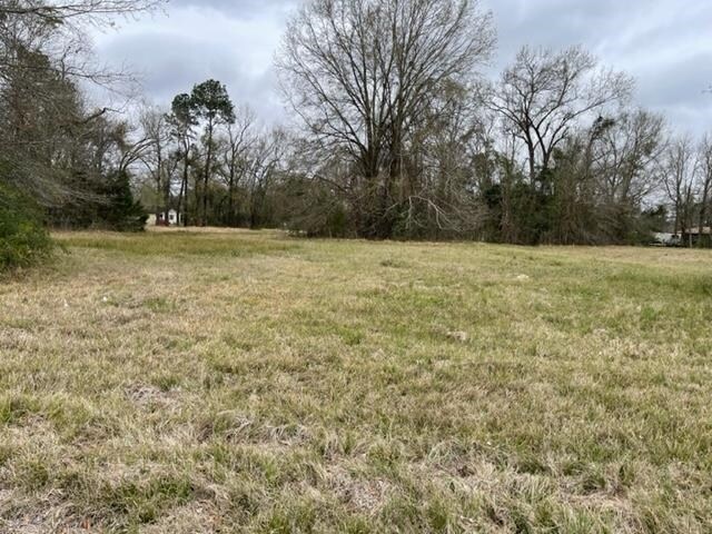 More Photos Of 5.432 AC IH 10, Orange Land For Sale