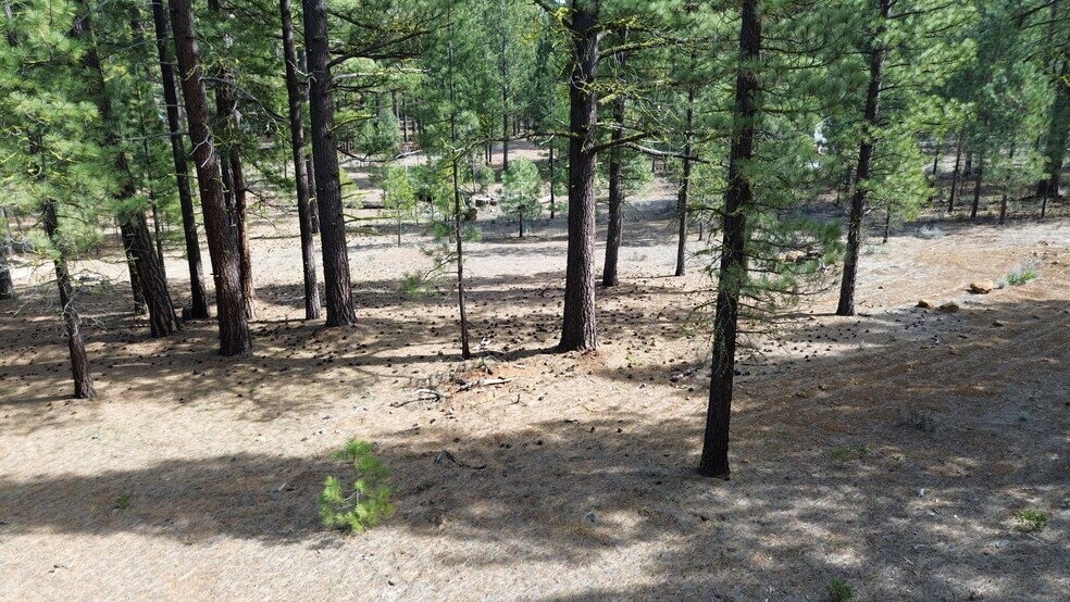 More Photos Of 42451 Blue Heron cir, Old Station Land For Sale