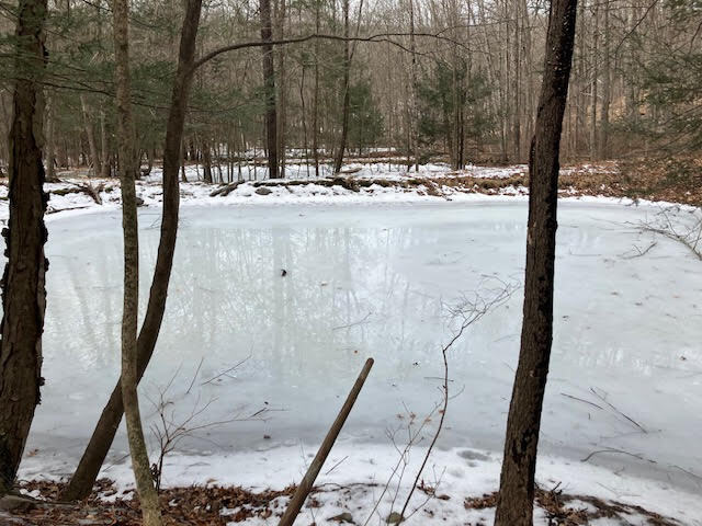 More Photos Of 45017 Marshalls Creek Road,, East Stroudsburg Land For Sale