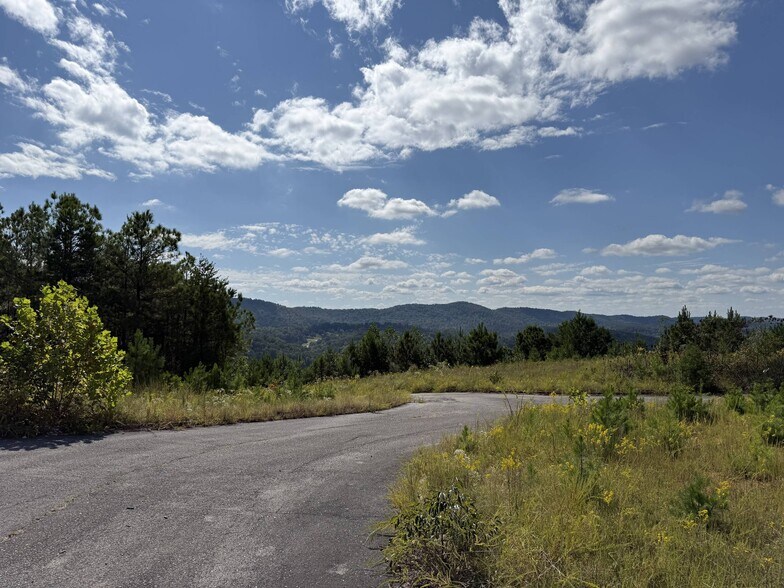 More Photos Of 6522 Old Springville Rd, Pinson Land For Sale