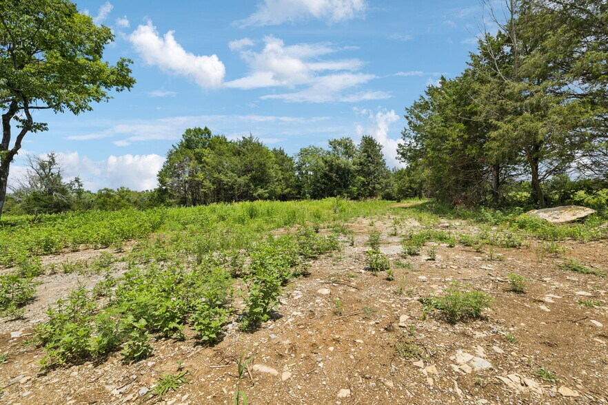 More Photos Of 7665 Shelbyville Pike, Christiana Land For Sale