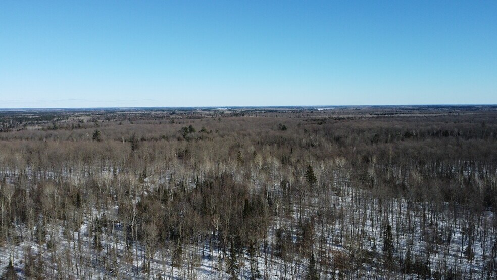 More Photos Of 5451 Pier Lake rd, Tripoli Land For Sale