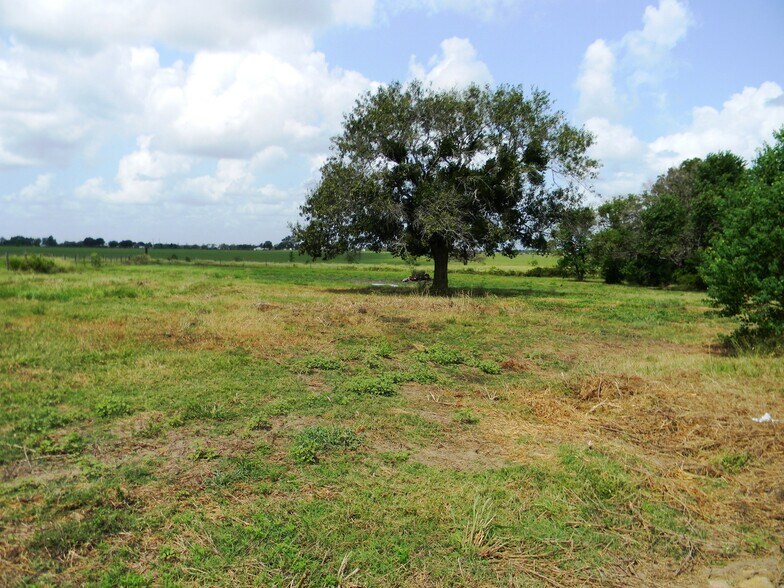 More Photos Of 17845 Fm 362 Rd, Waller Land For Sale