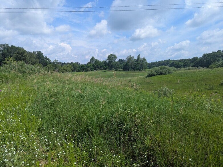 More Photos Of Lot 1 Vicary Road @ Meridian Rd. / US - 127, Cement City Land For Sale
