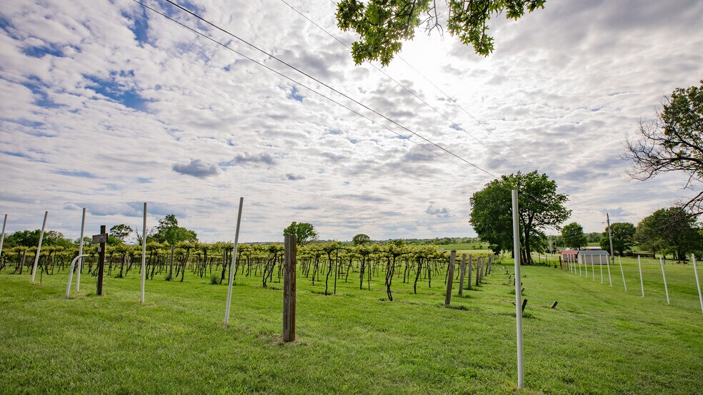 More Photos Of 8400 E 1320 Rd, Stockton Winery Vineyard For Sale