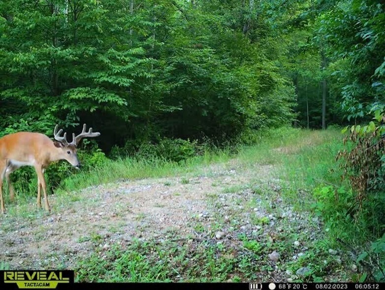 More Photos Of Fisher Road, Iola Land For Sale