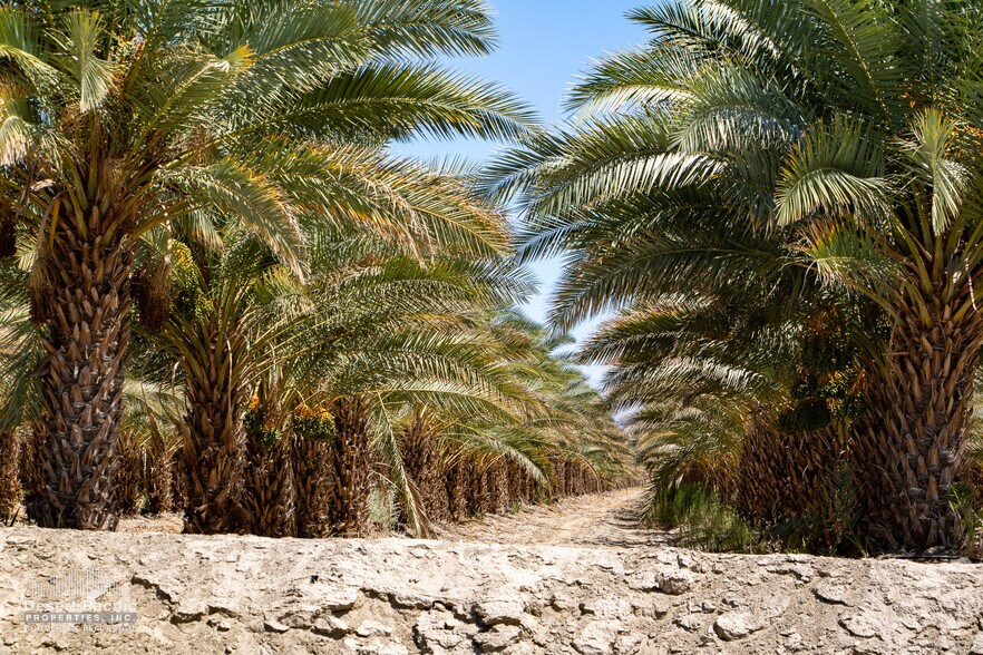 More Photos Of Ave 76 & Expwy 86, Thermal Land For Sale