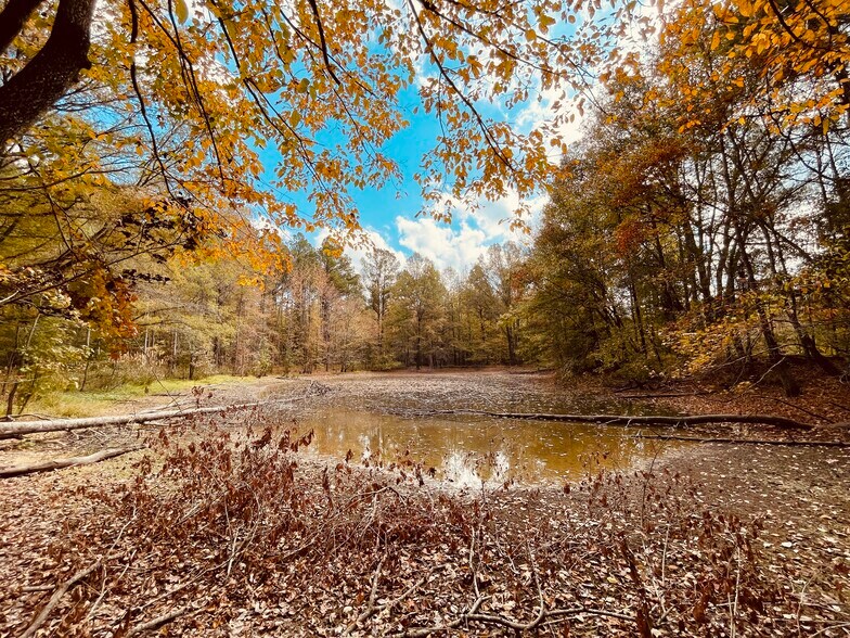 More Photos Of MS Highway 12, Durant Land For Sale