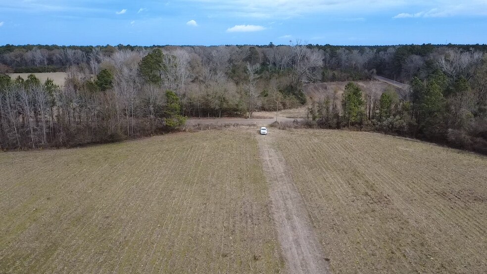 More Photos Of 192 Harts Rd, Bowman Land For Sale