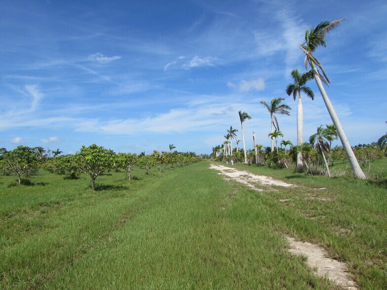 More Photos Of 9000 Stringfellow Rd, Saint James City Land For Sale