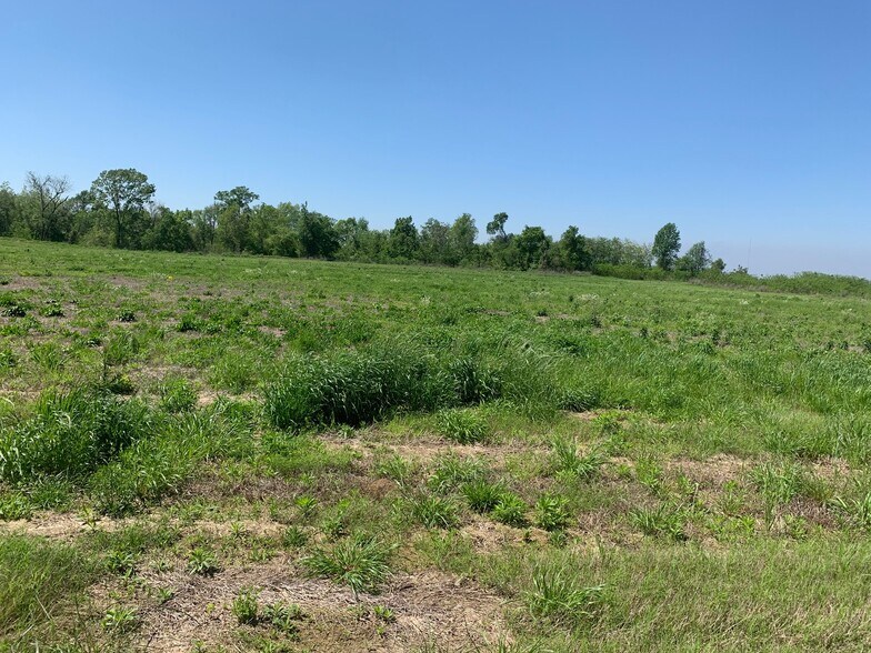 More Photos Of 000E-2B Highway 61, Natchez Land For Sale