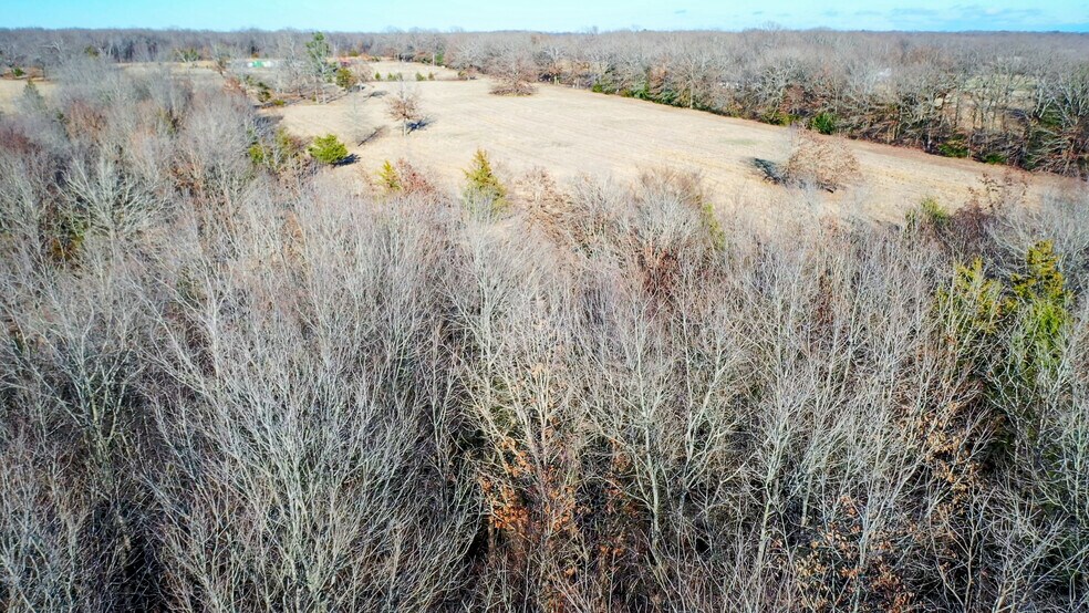 More Photos Of 1200 County 1255 rd, Detroit Land For Sale