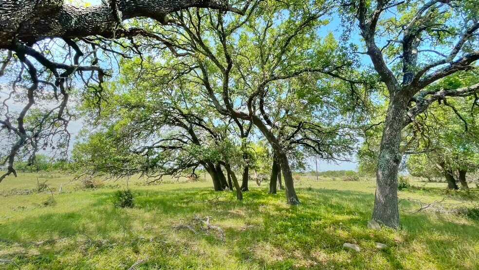 More Photos Of County Road 253, Bertram Land For Sale