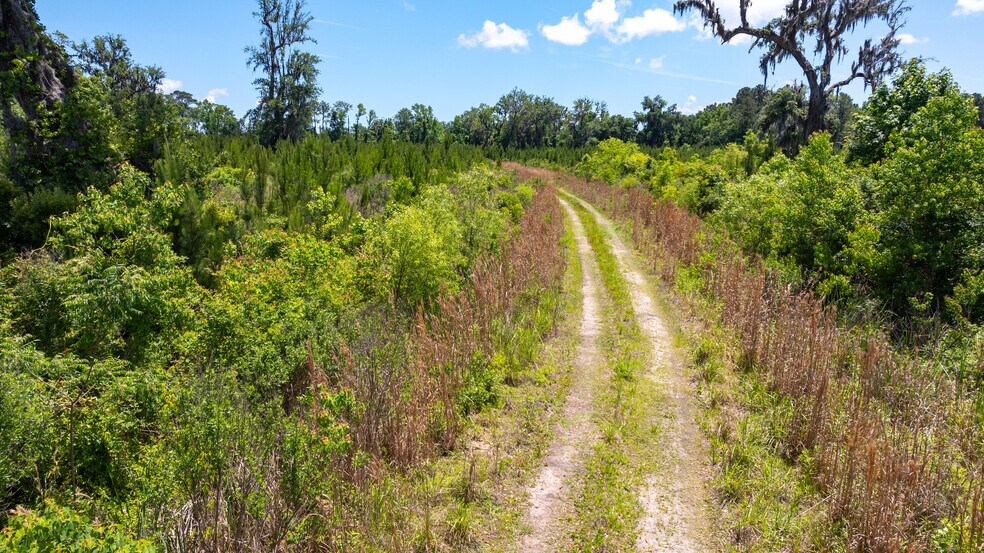 More Photos Of Kings Walk Residential Development, Brunswick Land For Sale