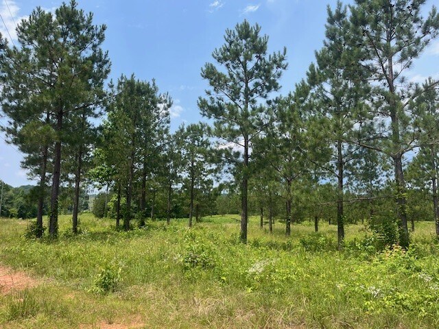More Photos Of 2200 Oweda Dr, Conover Land For Sale