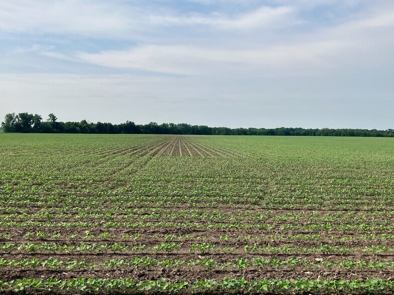 More Photos Of 00 Center Rd, Rochelle Land For Sale