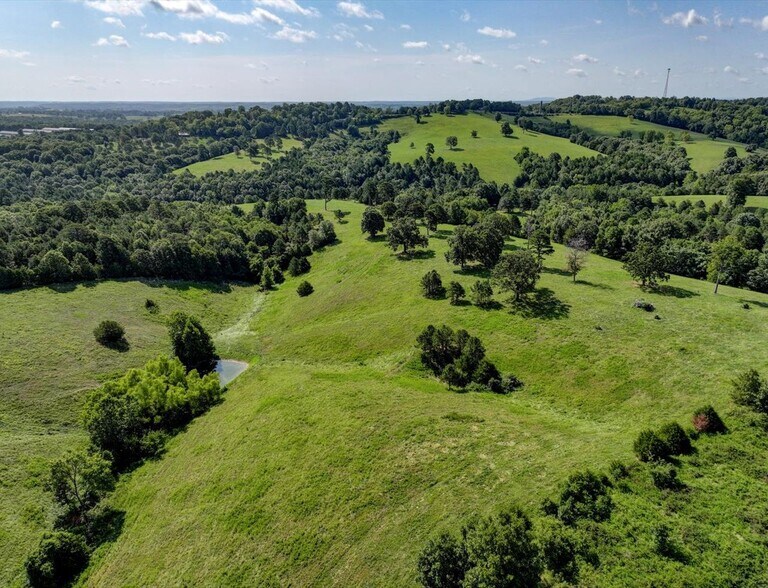 More Photos Of Hwy 65 and Old Hwy US 65, Omaha Land For Sale
